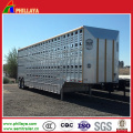 Bétaillère en aluminium de transporteur de bétail Bétaillère en aluminium de bétail de boîte de mouton
